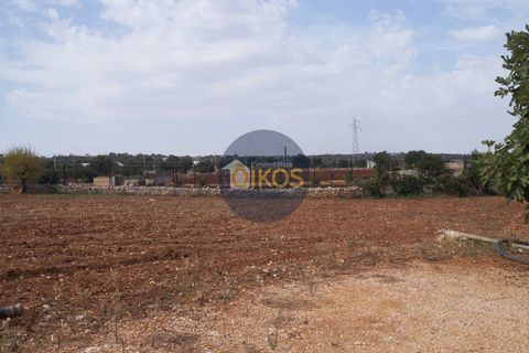 Terra a Polignano a Mare, Bari, Polignano a Mare - € 135.000 | Ref: 131 - foto 29