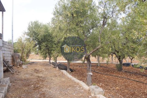 Terra a Polignano a Mare, Bari, Polignano a Mare - € 135.000 | Ref: 131 - foto 30