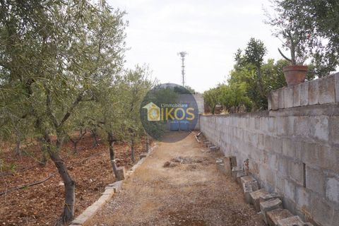 Terra a Polignano a Mare, Bari, Polignano a Mare - € 135.000 | Ref: 131 - foto 31