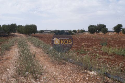 Terra a Polignano a Mare, Bari, Polignano a Mare - € 135.000 | Ref: 131 - foto 33