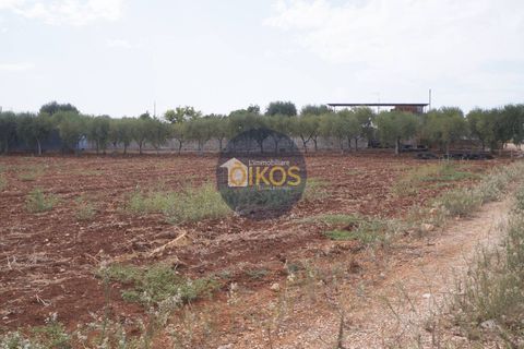 Terra a Polignano a Mare, Bari, Polignano a Mare - € 135.000 | Ref: 131 - foto 35