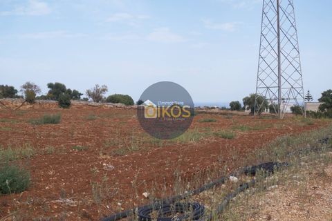 Terra a Polignano a Mare, Bari, Polignano a Mare - € 135.000 | Ref: 131 - foto 36