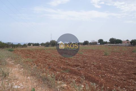 Terra a Polignano a Mare, Bari, Polignano a Mare - € 135.000 | Ref: 131 - foto 37