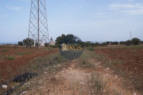 Terra a Polignano a Mare, Bari, Polignano a Mare - € 135.000 | Ref: 131 - foto 38