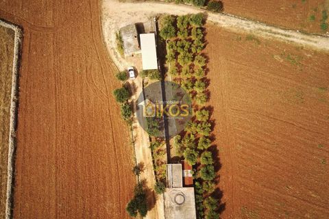 Terra a Polignano a Mare, Bari, Polignano a Mare - € 135.000 | Ref: 131 - foto 43