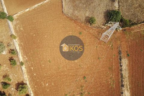 Terra a Polignano a Mare, Bari, Polignano a Mare - € 135.000 | Ref: 131 - foto 45