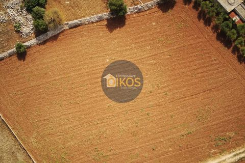 Terra a Polignano a Mare, Bari, Polignano a Mare - € 135.000 | Ref: 131 - foto 46