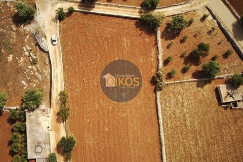Terra a Polignano a Mare, Bari, Polignano a Mare - € 135.000 | Ref: 131 - foto 48