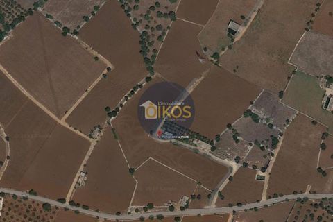 Terra a Polignano a Mare, Bari, Polignano a Mare - € 135.000 | Ref: 131 - foto 50