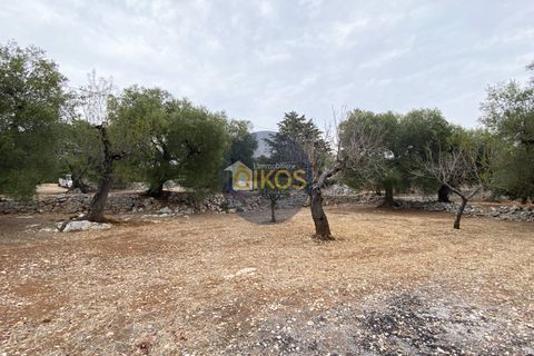 Helårsgrund i Monopoli, Bari, Monopoli - € 75.000 | Ref: 129 - foto 2