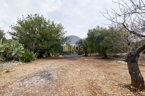 Helårsgrund i Monopoli, Bari, Monopoli - € 75.000 | Ref: 129 - foto 4