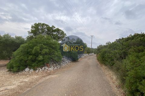 Helårsgrund i Monopoli, Bari, Monopoli - € 75.000 | Ref: 129 - foto 6