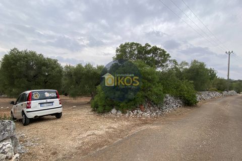 Helårsgrund i Monopoli, Bari, Monopoli - € 75.000 | Ref: 129 - foto 7