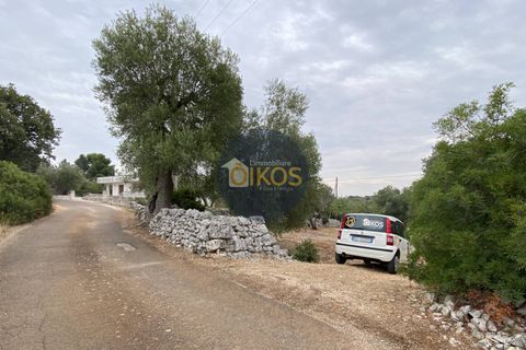 Helårsgrund i Monopoli, Bari, Monopoli - € 75.000 | Ref: 129 - foto 8