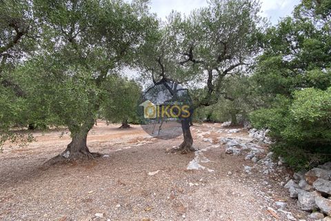 Helårsgrund i Monopoli, Bari, Monopoli - € 75.000 | Ref: 129 - foto 17