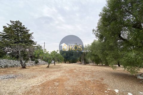 Helårsgrund i Monopoli, Bari, Monopoli - € 75.000 | Ref: 129 - foto 19