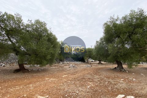 Helårsgrund i Monopoli, Bari, Monopoli - € 75.000 | Ref: 129 - foto 20