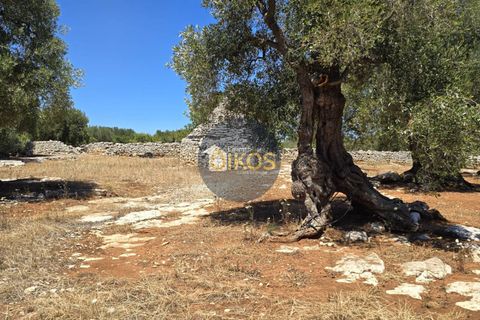 Terra a Monopoli, Bari, Monopoli - € 90.000 | Ref: 149 - foto 5
