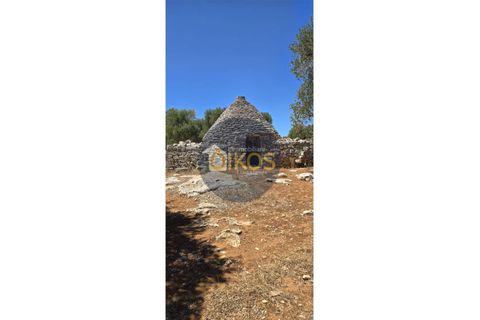 Terra a Monopoli, Bari, Monopoli - € 90.000 | Ref: 149 - foto 13