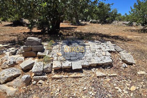 Terra a Monopoli, Bari, Monopoli - € 90.000 | Ref: 149 - foto 16