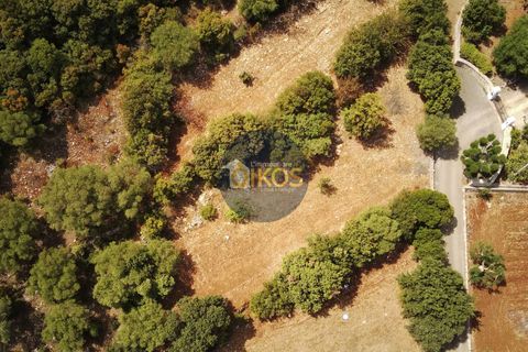 Terra a Monopoli, Bari, Monopoli - € 20.000 | Ref: 157 - foto 8