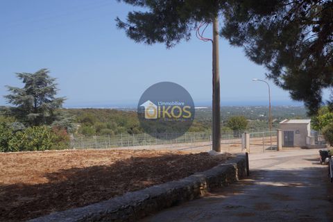 Terra a Monopoli, Bari, Monopoli - € 20.000 | Ref: 157 - foto 10