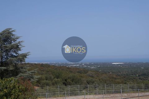 Terra a Monopoli, Bari, Monopoli - € 20.000 | Ref: 157 - foto 11