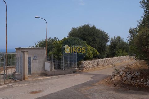Terra a Monopoli, Bari, Monopoli - € 20.000 | Ref: 157 - foto 13