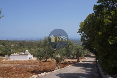 Terra a Monopoli, Bari, Monopoli - € 20.000 | Ref: 157 - foto 15