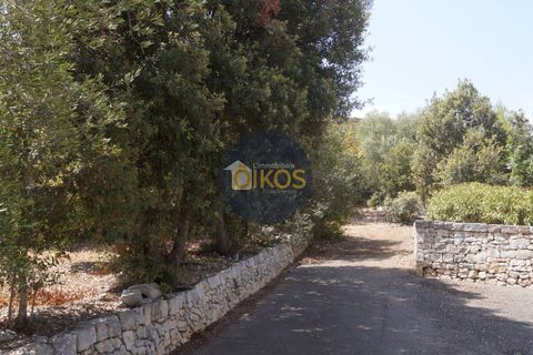 Terra a Monopoli, Bari, Monopoli - € 20.000 | Ref: 157 - foto 16