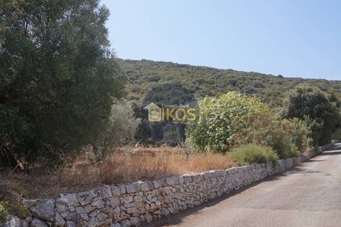 Terra a Monopoli, Bari, Monopoli - € 20.000 | Ref: 157 - foto 20