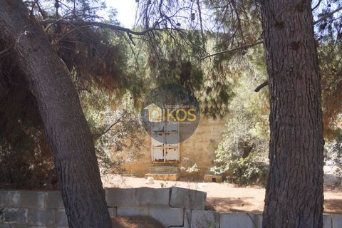 Terra a Monopoli, Bari, Monopoli - € 20.000 | Ref: 157 - foto 33