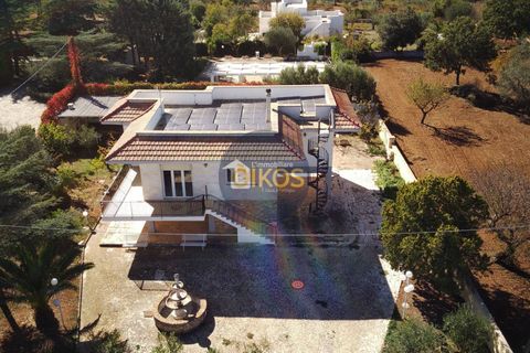 Villa a Monopoli, Bari, Monopoli - € 288.000 | Ref: 163 - foto 12