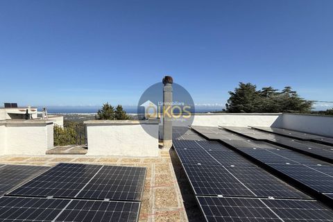 Villa a Monopoli, Bari, Monopoli - € 288.000 | Ref: 163 - foto 15