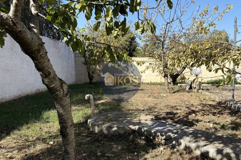 Villa a Monopoli, Bari, Monopoli - € 288.000 | Ref: 163 - foto 24