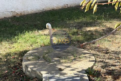 Villa a Monopoli, Bari, Monopoli - € 288.000 | Ref: 163 - foto 25