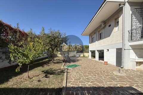 Villa a Monopoli, Bari, Monopoli - € 288.000 | Ref: 163 - foto 33