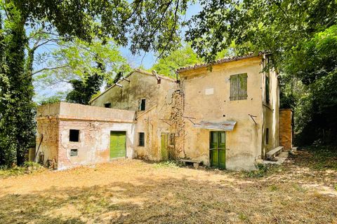 Herregård i Pesaro, Pesaro and Urbino, Pesaro - € 275 000 | Ref: RC741 - foto 7