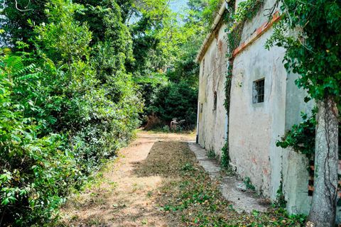 Herregård i Pesaro, Pesaro and Urbino, Pesaro - € 275 000 | Ref: RC741 - foto 9