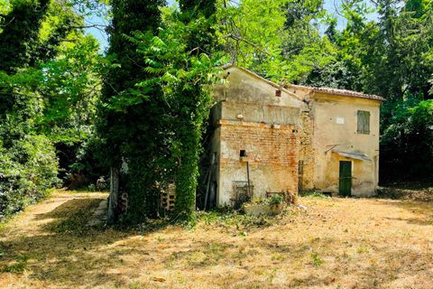 Herregård i Pesaro, Pesaro and Urbino, Pesaro - € 275 000 | Ref: RC741 - foto 12