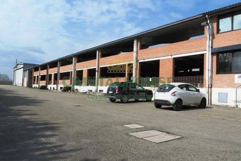 Erhvervsejendom i Budrio, Bologna, Budrio - € 132.000 | Ref: 95 - foto 3