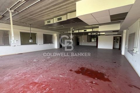 Erhvervsejendom i Formello, Rome, Formello - € 310.000 | Ref: CBI075-1424-129751 - foto 2