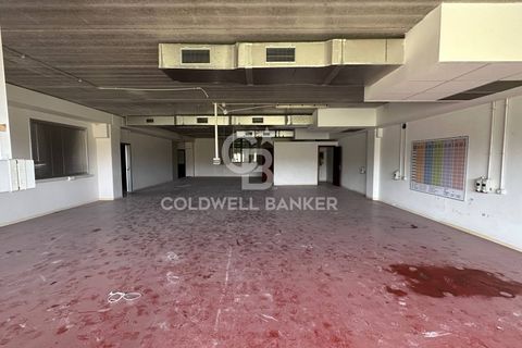 Erhvervsejendom i Formello, Rome, Formello - € 310.000 | Ref: CBI075-1424-129751 - foto 3