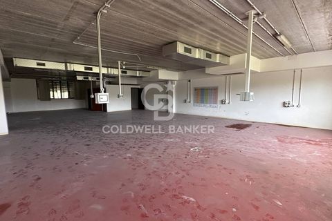 Erhvervsejendom i Formello, Rome, Formello - € 310.000 | Ref: CBI075-1424-129751 - foto 4