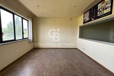 Erhvervsejendom i Formello, Rome, Formello - € 310.000 | Ref: CBI075-1424-129751 - foto 7