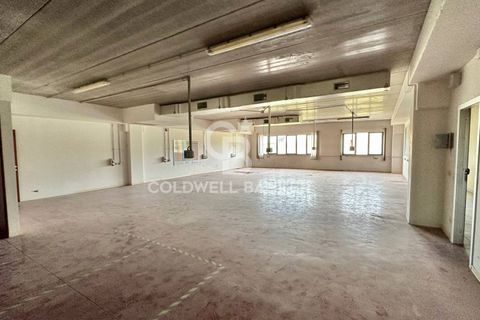 Erhvervsejendom i Formello, Rome, Formello - € 310.000 | Ref: CBI075-1424-129751 - foto 12