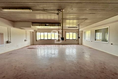 Erhvervsejendom i Formello, Rome, Formello - € 310.000 | Ref: CBI075-1424-129751 - foto 15