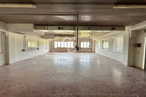 Erhvervsejendom i Formello, Rome, Formello - € 310.000 | Ref: CBI075-1424-129751 - foto 16
