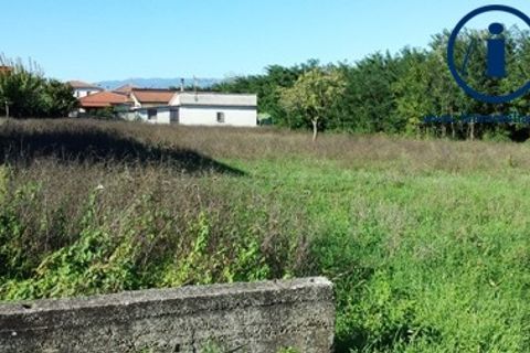 Terra a Alvignano, Caserta, Alvignano - € 200.000 | Ref: TV3 - foto 2