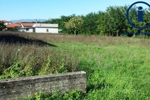 Terra a Alvignano, Caserta, Alvignano - € 200.000 | Ref: TV3 - foto 3